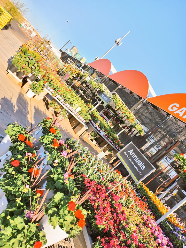 Alfred Gauna tweet media