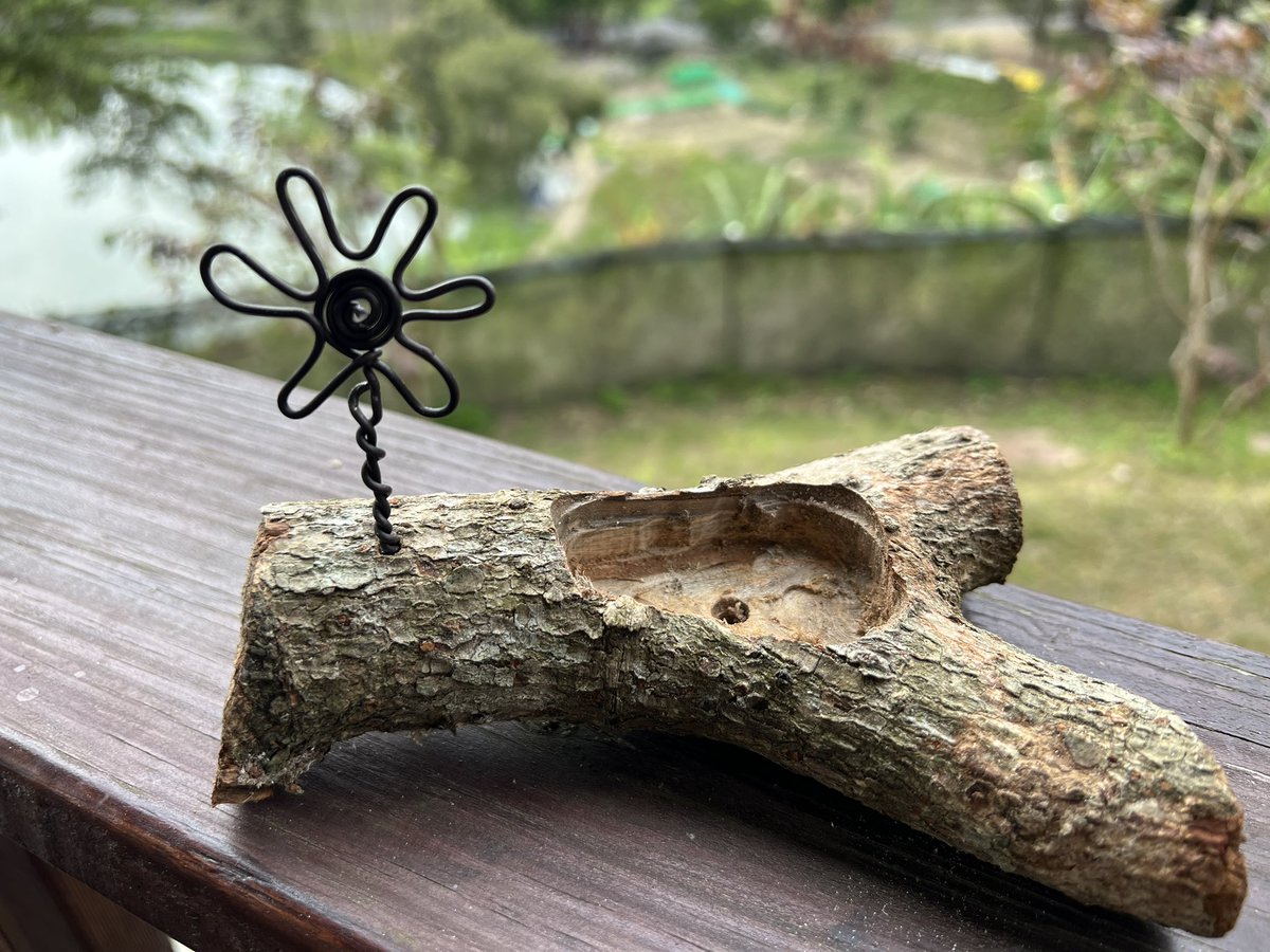 Milygo_W's tweet photo. DIY  樂趣多

#多肉植物
#木作DIY https://t.co/Nxqqef8M8p