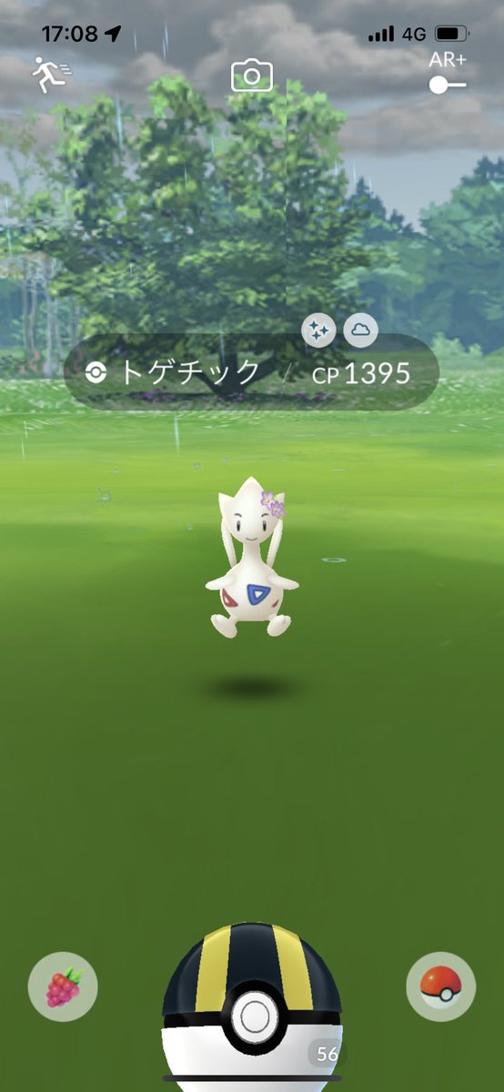 ポケモンサン 色ヘラクロス、色トゲキッス、色ハッサムリボンコンプ