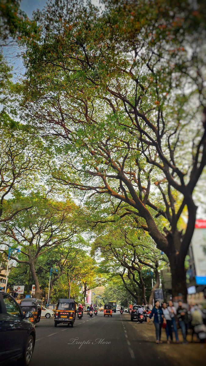 TruptiMore9's tweet photo. या रस्त्याने किती लोकांना भुरळ घातली असेल.... ❤️
#pune #roadsofpune #म https://t.co/eD1uH8lD2w