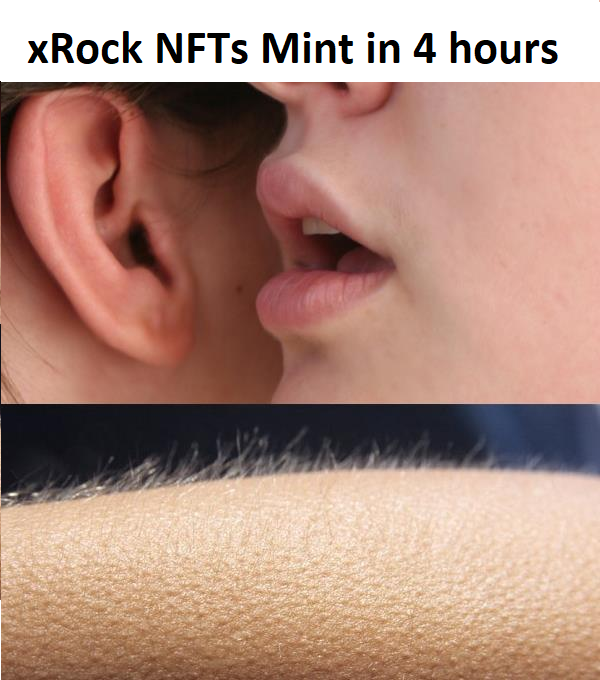 MultiversxRock's tweet photo. 👑❗️MINT TODAY❗️👑

⌛️ 17:00 UTC /// 🇷🇴  20:00  /// 🇨🇭🇫🇷🇩🇪  19:00 ⚡️SUPPLY: 1000 SFTs only 
 💰PRICE: ONLY 0.37 $EGLD (15 USD) 👀

🔗 https://t.co/LCwsAi23rN

#MultiversX #Elrond #MultiversXCommunity #NFT #MultiversXNFTs #EGLD #xRocks #XOXNO #UTK https://t.co/3DiGe4QgJP
