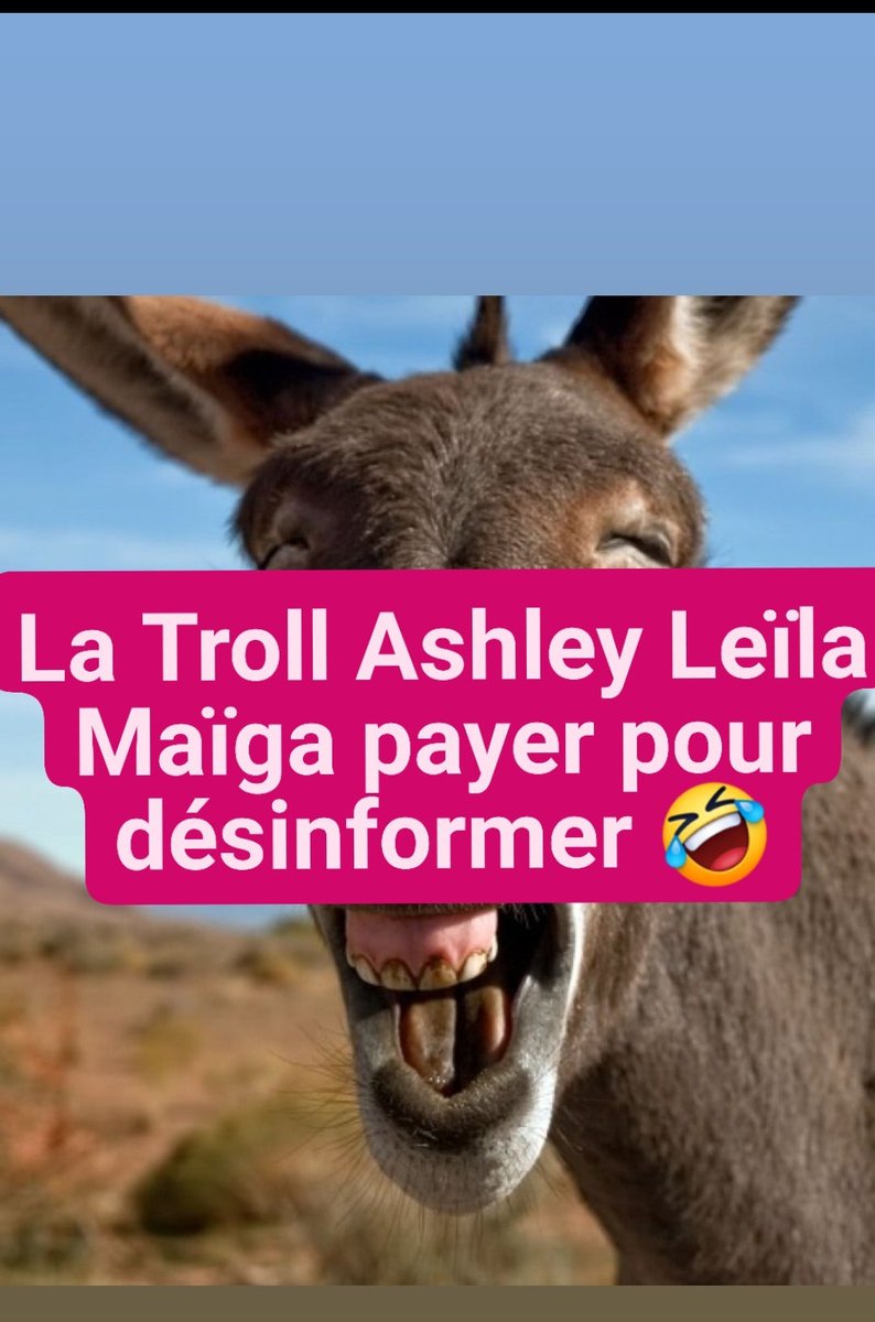 OlsaCper's tweet image. Et donc ?
Le gouvernement Malien doit prendre d'assaut #Kdal! comme ça vous allez demander à la munisma une enquête contre les droits de l'homme ? Mais vous êtes comment même 😁😁 🤷🏿‍♂️