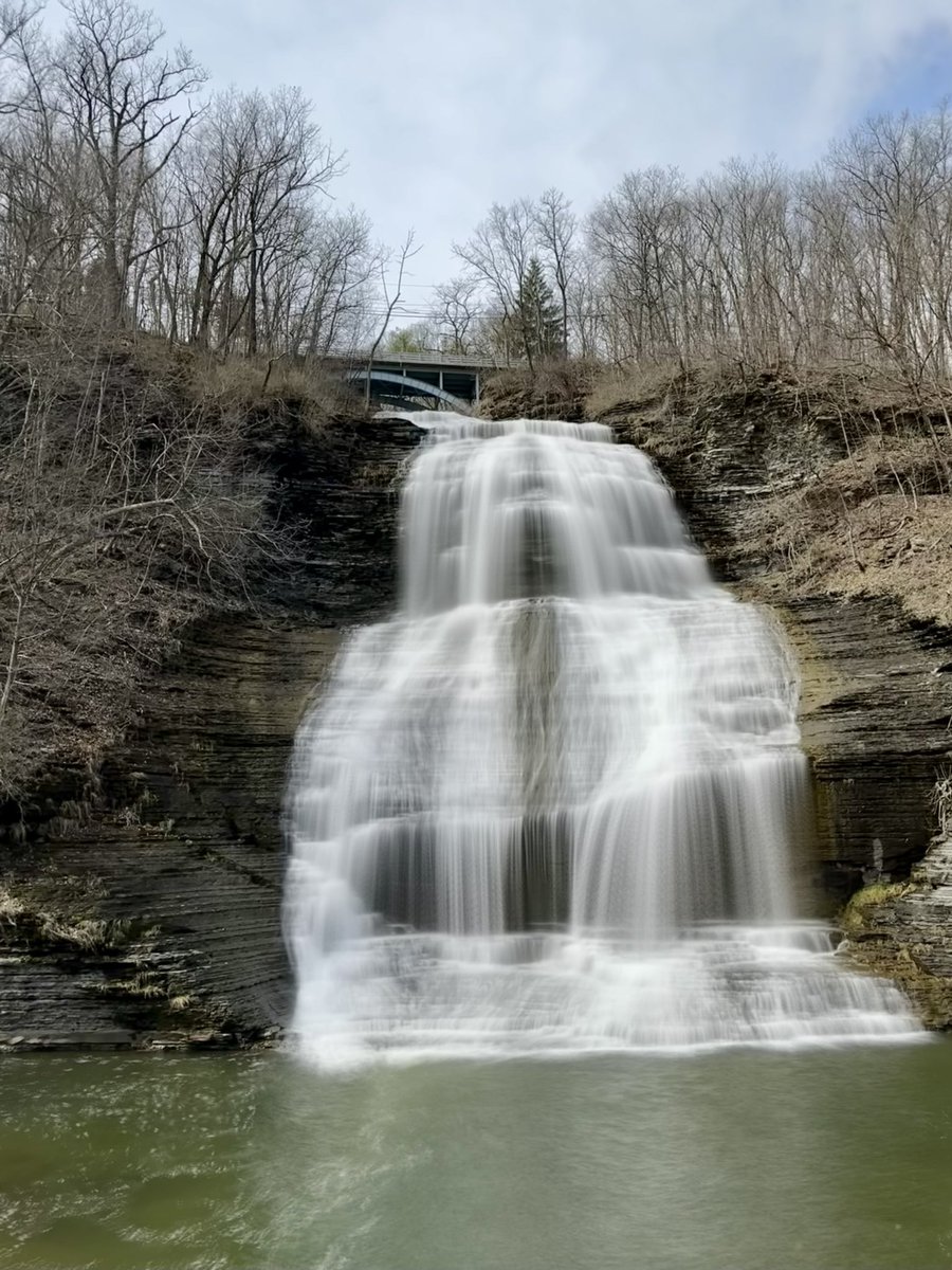 Aaron Reichman tweet media