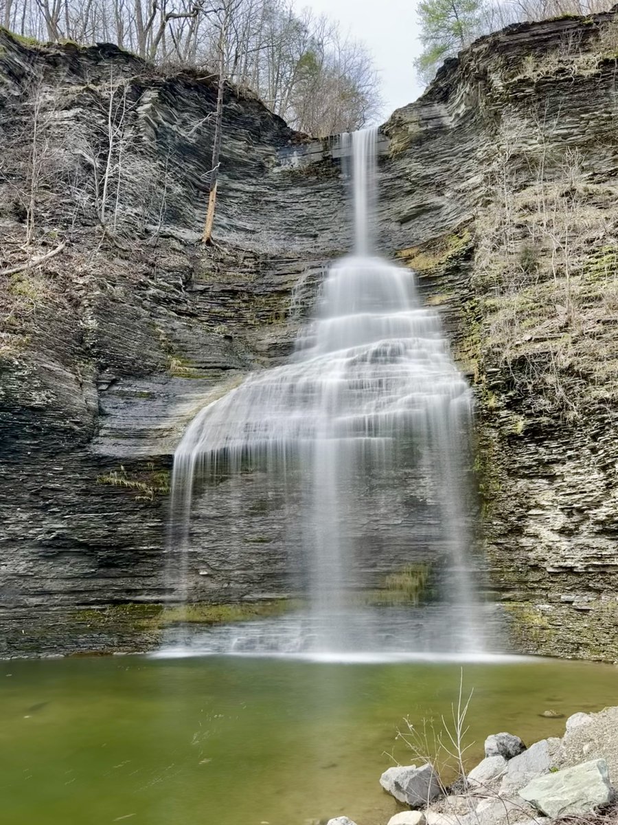 Aaron Reichman tweet media