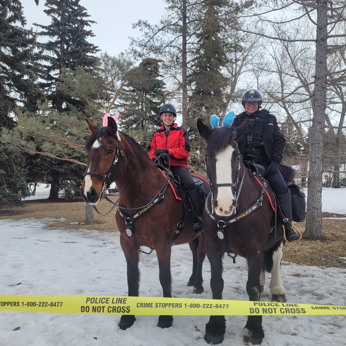 Calgary Police on Twitter "On April 1, 2023, our Tactical Unit