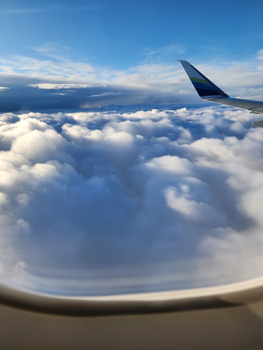 Tabathann's tweet photo. A students reach for the sky with their hopes dreams, and wishes, let us help inspire their minds. Please help fund our @DonorsChoose project for smaller @LEGO_Education kit. We have had no progress and time is running out.
#teachersoftwitter 

https://t.co/UZDCGCkqw0 https://t.co/fJvP6F2jwn