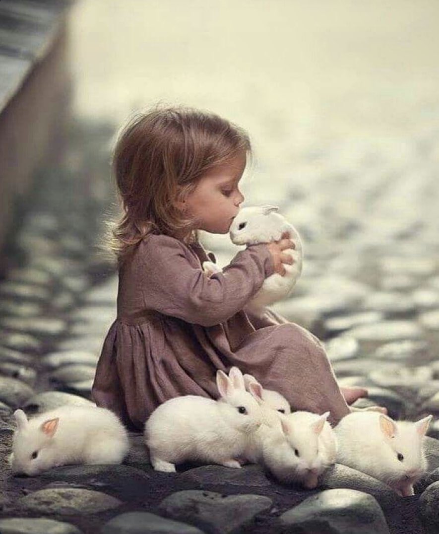 This week’s rare alignment of #Easter, #Passover and #Ramadan is a chance to share a sense of harmony, cooperation and peace. Happy &amp; blessed celebrations, ✝️✡️☪️!  #Ostern