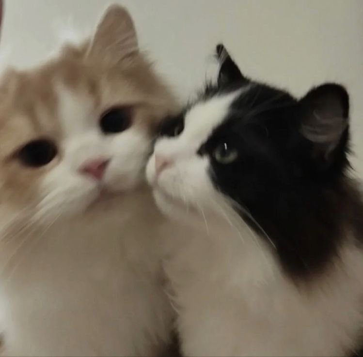 nbyearning's tweet photo. us? https://t.co/TDj6CIK217