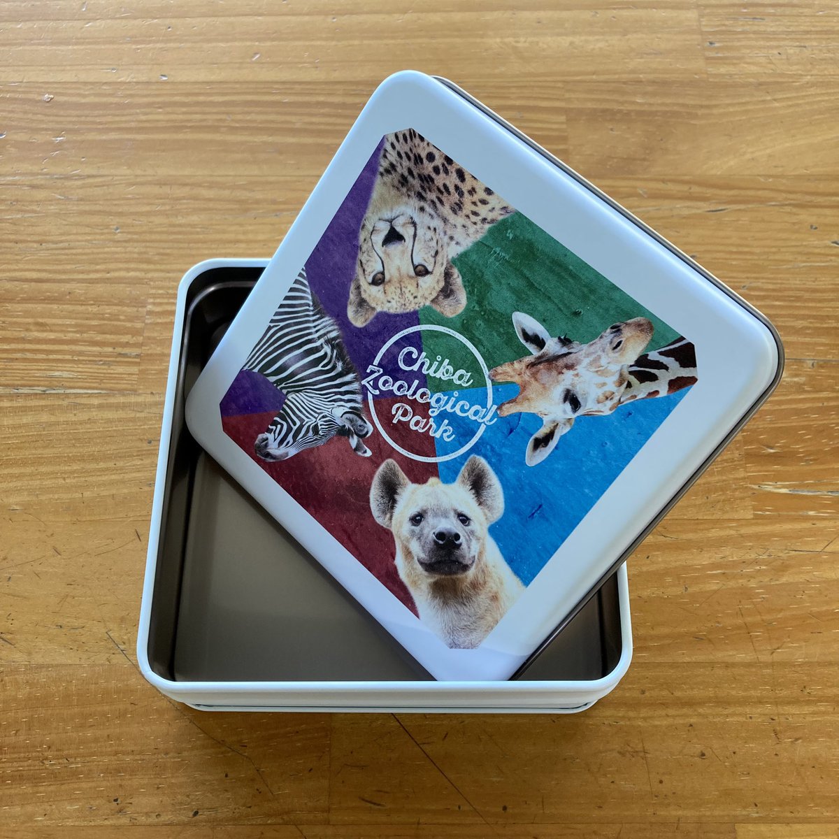 chibazoo1985's tweet image. 『4 animals』(フォーアニマルズ)の
第二弾❣️

#小物缶　仕上がりました〜✨✨😍

W124×H124サイズで色々な用途に使えますね〜😊

お土産やプレゼントにも🎁おすすめです。

第一弾のハンカチも好評発売中(^^)

ぜひぜひご覧くださいませ〜

#千葉市動物公園
#4animals
#フォーアニマルズ