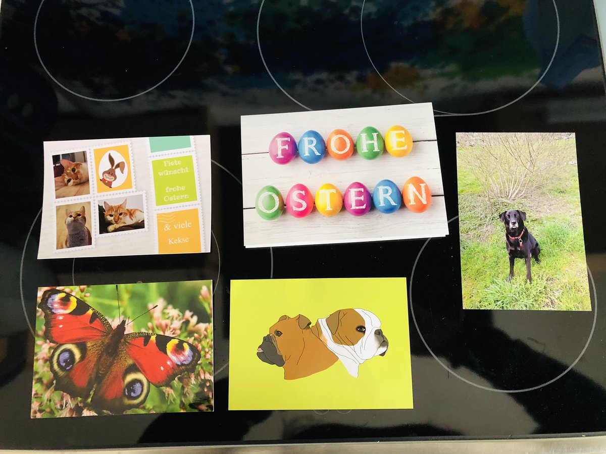 Vielen lieben Dank für die liebe Post. 
<a href="/Seeloewe_Fiete/">Fiete</a> 
@PaulHundesenior 
@AnnikaJocki 
<a href="/SirWinston_vdW/">Sir Winston, Minister für Fitness</a>