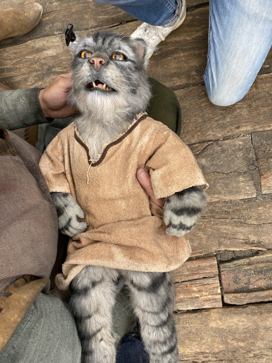 Save the cat. ⁦<a href="/LegacyEffects/">Legacy Effects</a>⁩ #dndmovie