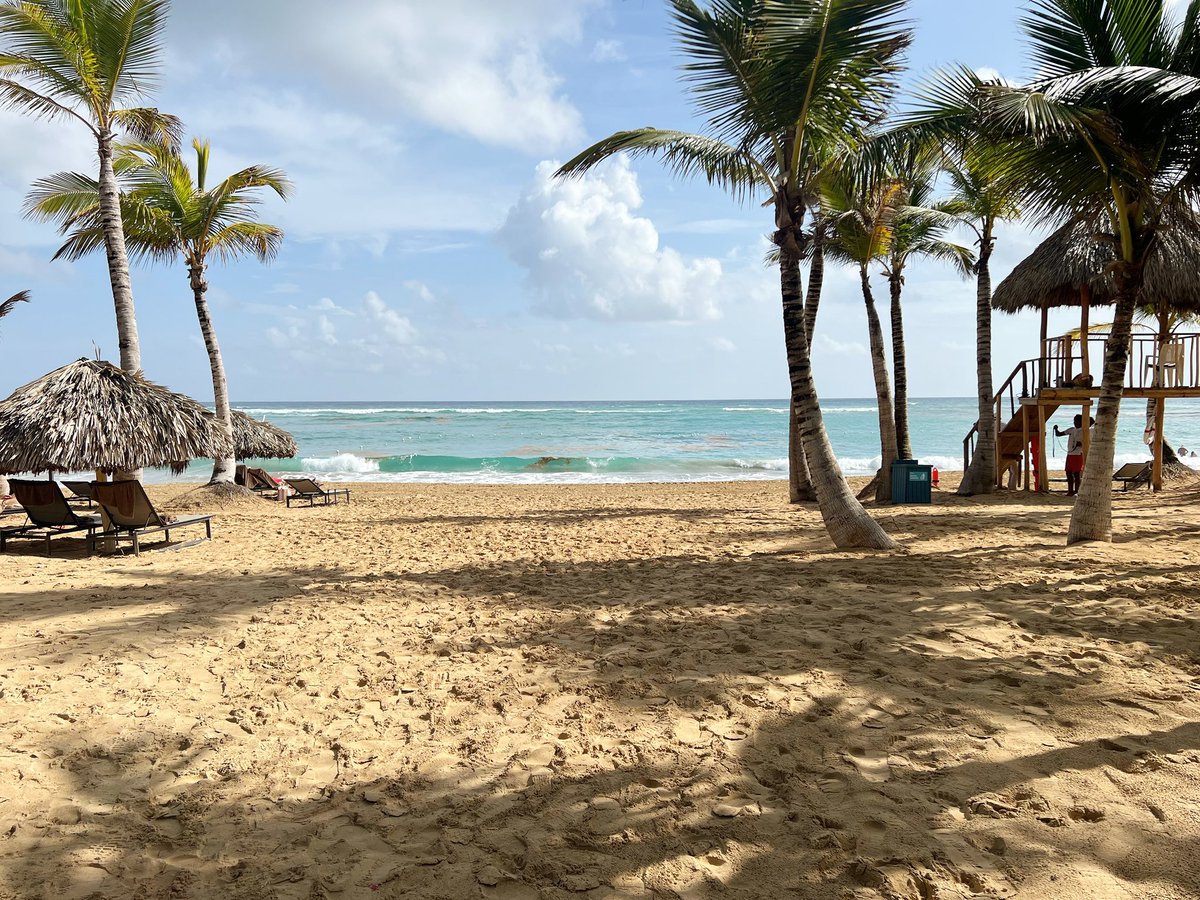 Shalonda121's tweet photo. Its been real… ☀️👙🌴 https://t.co/E3GjMZk6EI
