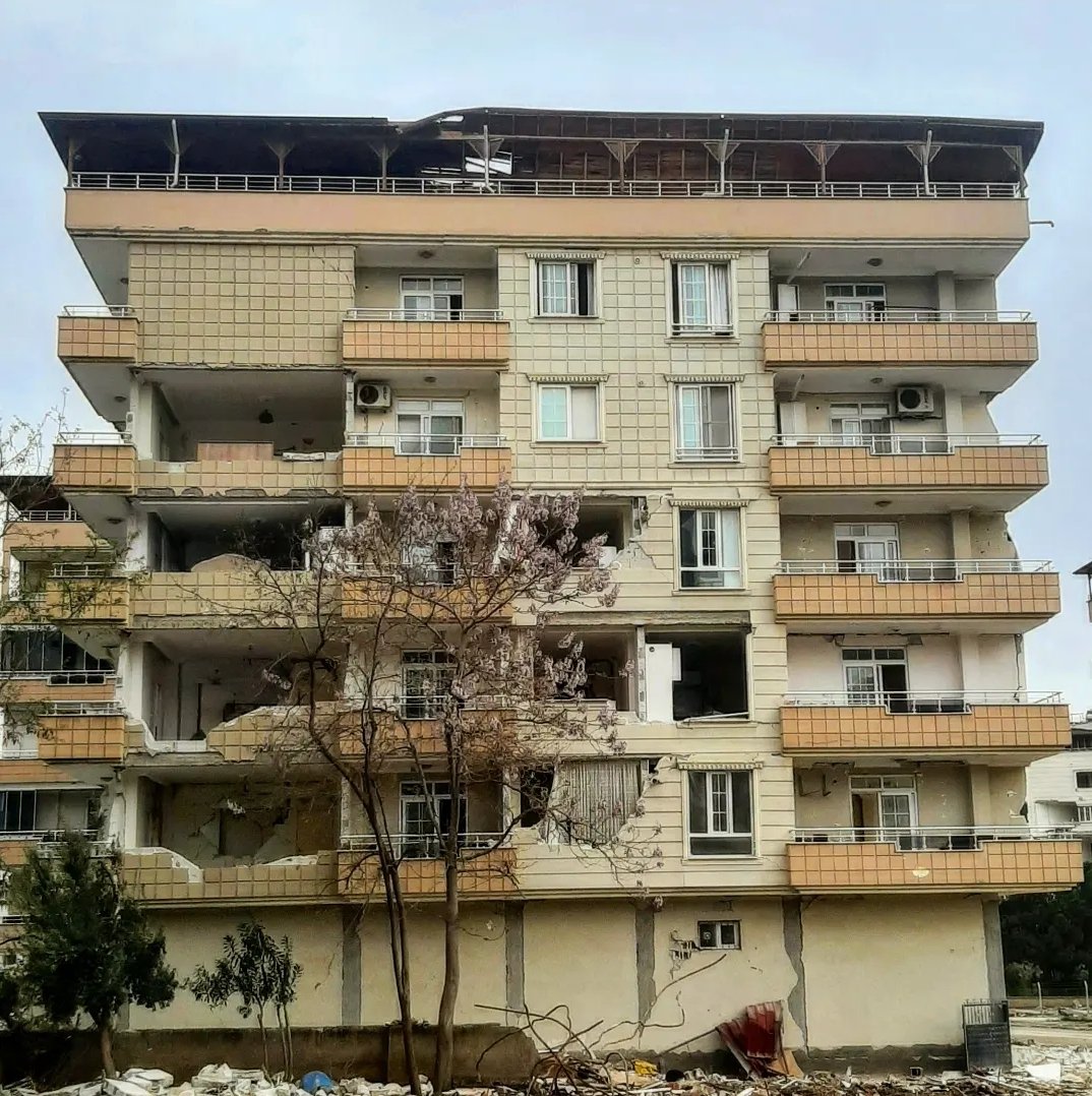 Bir sabah odasının perdesini açarken pencerenin önündeki ağacın çiçeklerini görüp gülümseyecekti kadın. O mis gibi kokuyu içine çekecekti, baharın geldiğine sevinecekti. Bu gün bu olmadı ama çiçekler açmayı hiç bir zaman bırakmadı. Yine çiçeklenecegiz...🖤
#Nurdağı #İslahiye