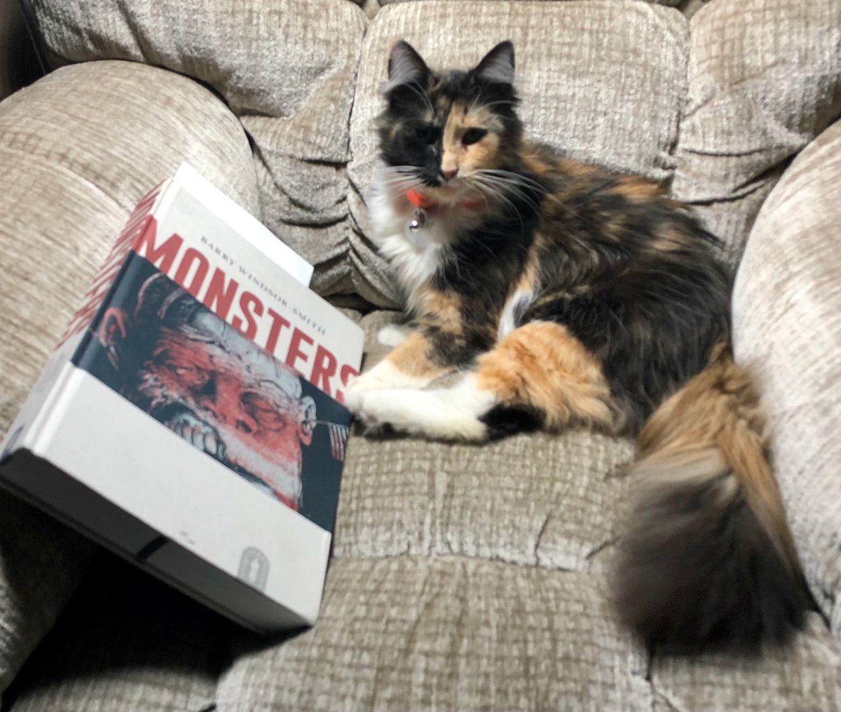 HarvLovesComics's tweet photo. Great art, but couldn't get into the story and failed to finish it. Everyone's mileage varies, though, so maybe you'll dig it. #Caturday #CatsofTwittter #comicbooks #ComicArt https://t.co/oXBXM9IaQq
