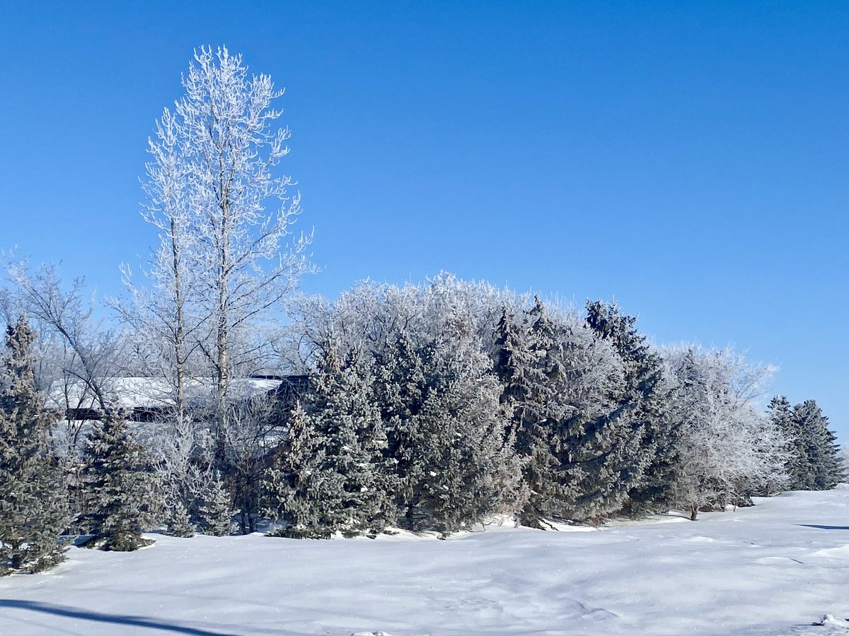 This is the day the Lord has made, we will rejoice and be glad in it!