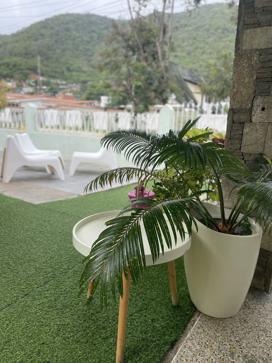 afortunadamente ya estoy en una peluquería más profesional, y espero puedan ayudarme a salir de estas, porque fácilmente podría morir.