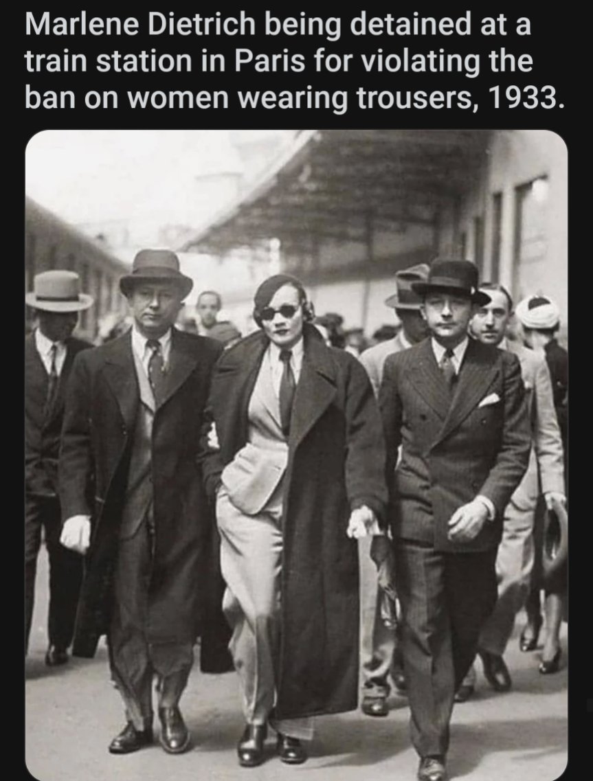 AskAubry 🦋 🐆🦝 tweet media