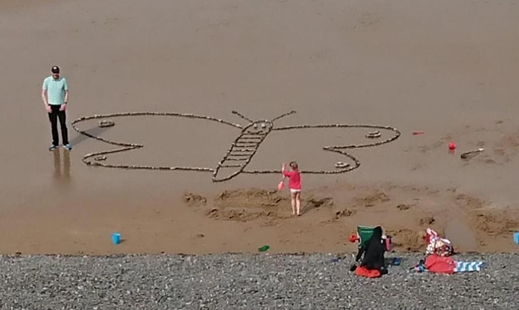 BasherTrash's tweet photo. Rare butterfly found on Sherringham beach #sherringham #butterfly @northnorfolknow https://t.co/9Vtp1byixl