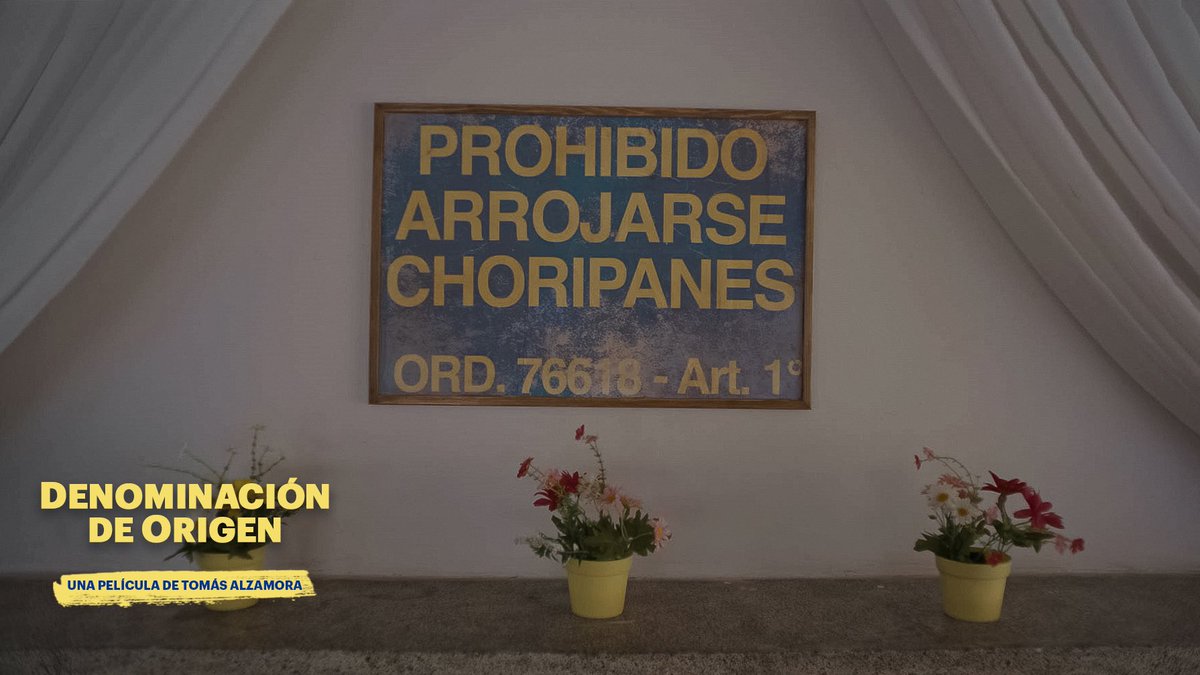 Cómo agarramos tanto vuelo? 😳

DENOMINACIÓN DE ORIGEN, la nueva película de @equecocl 

#longaniza #chillan #sancarlos #cine #cinechileno