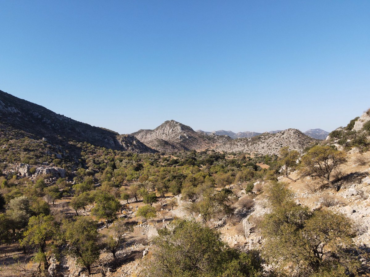 phoenixprojesi's tweet photo. Antik Phoenix’ten Phoinikoudi/Fenaket’e kesintisiz kırsal yaşam kültürünün kalbi: Bereketli Sindili. 
——
From ancient Phoenix to Phoinikoudi / Fenaket: Fertile Sindili is the heart of uninterrupted rural life. https://t.co/utemT7iqn8