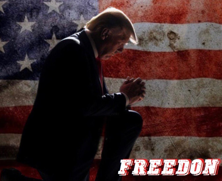 StBernard_1's tweet image. #FREEDON