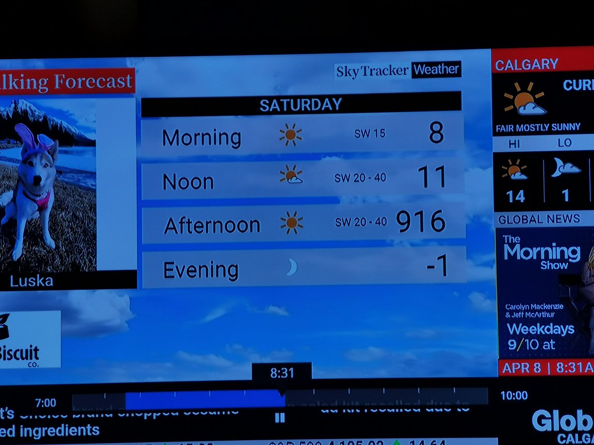 JenniferPolsom's tweet photo. @GlobalCalgary sure is gonna be a hot one this afternoon....😂 https://t.co/PDQugtAicw