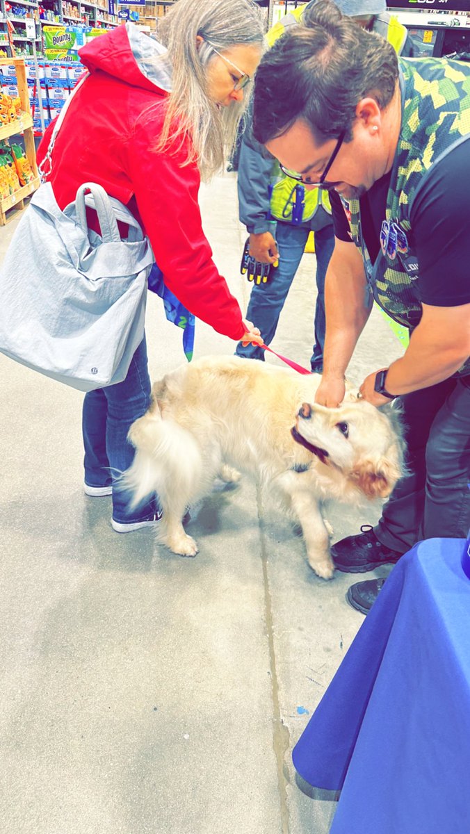 _nicolemarie_6's tweet photo. Having a great day with our community for our SpringFest Egg-Venture at #theOG86! Seeing the all of the smiles has brightened up this rainy day! Even our fur babies are out for the fun! #LowesSpringFest @AkyiaSweat @Josh_Lowes_0086 @BlueBoxR1 https://t.co/VHjp7wwDCp