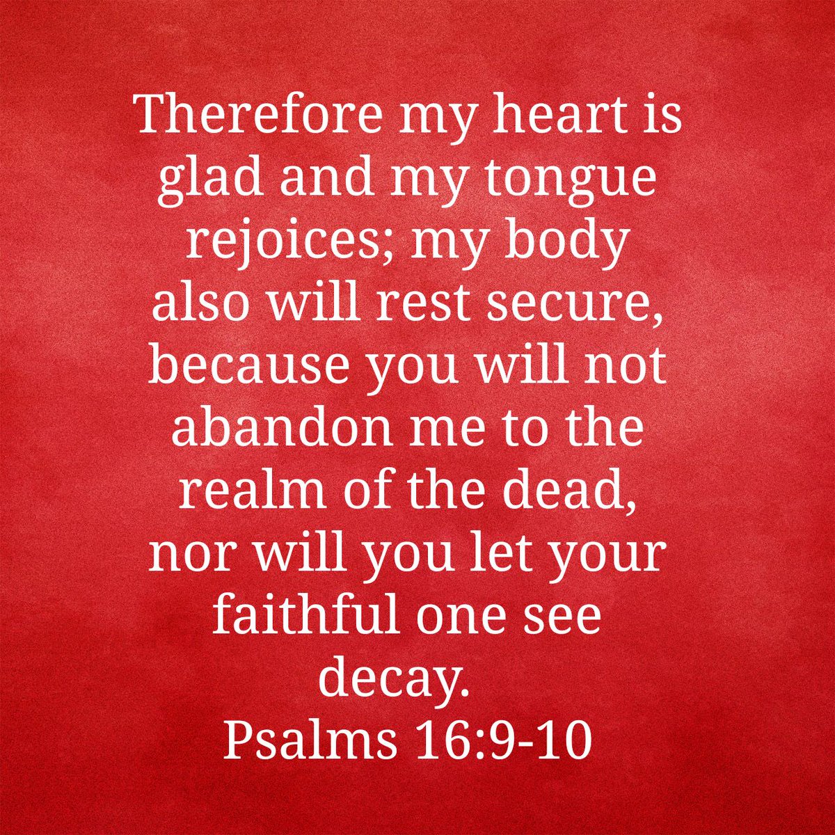 C.A. Stampley tweet media