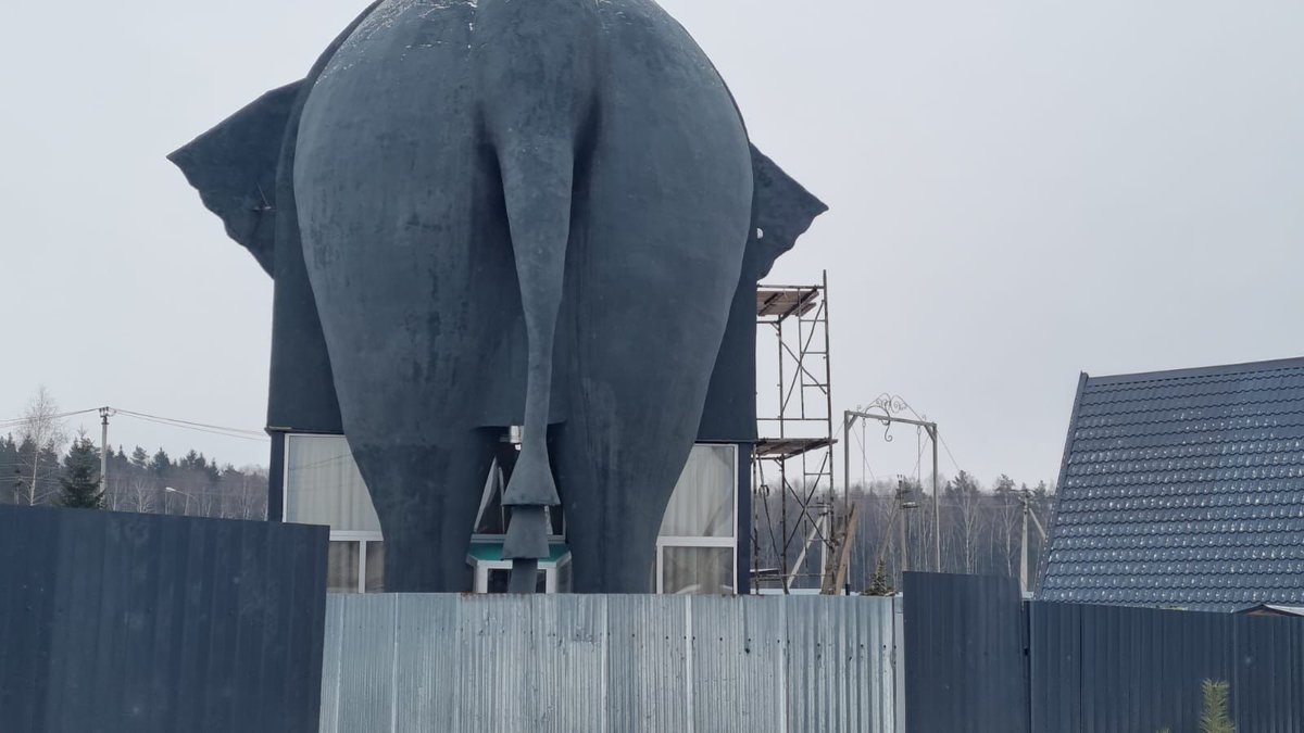 Ездит на тесле