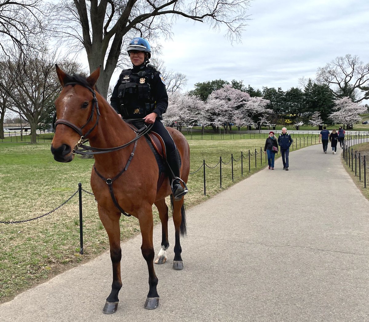 National Mall NPS tweet media