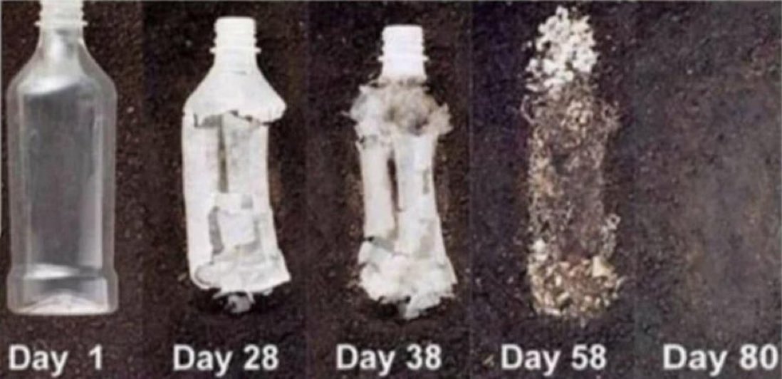 masami777777's tweet photo. 🍶 大麻から得られたペットボトルが80日で完全に消失。

♻️ ヘンププラスチックは無毒で生分解性です。石油由来のプラスチックよりも強く、軽量です☺️ https://t.co/CXUP3WF80f