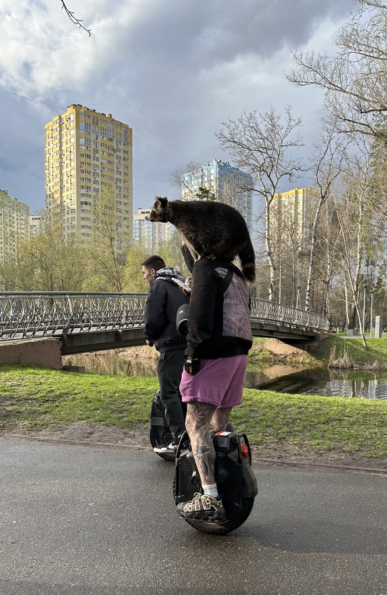 Alyona typing… on Twitter "just an average day in Kyiv"