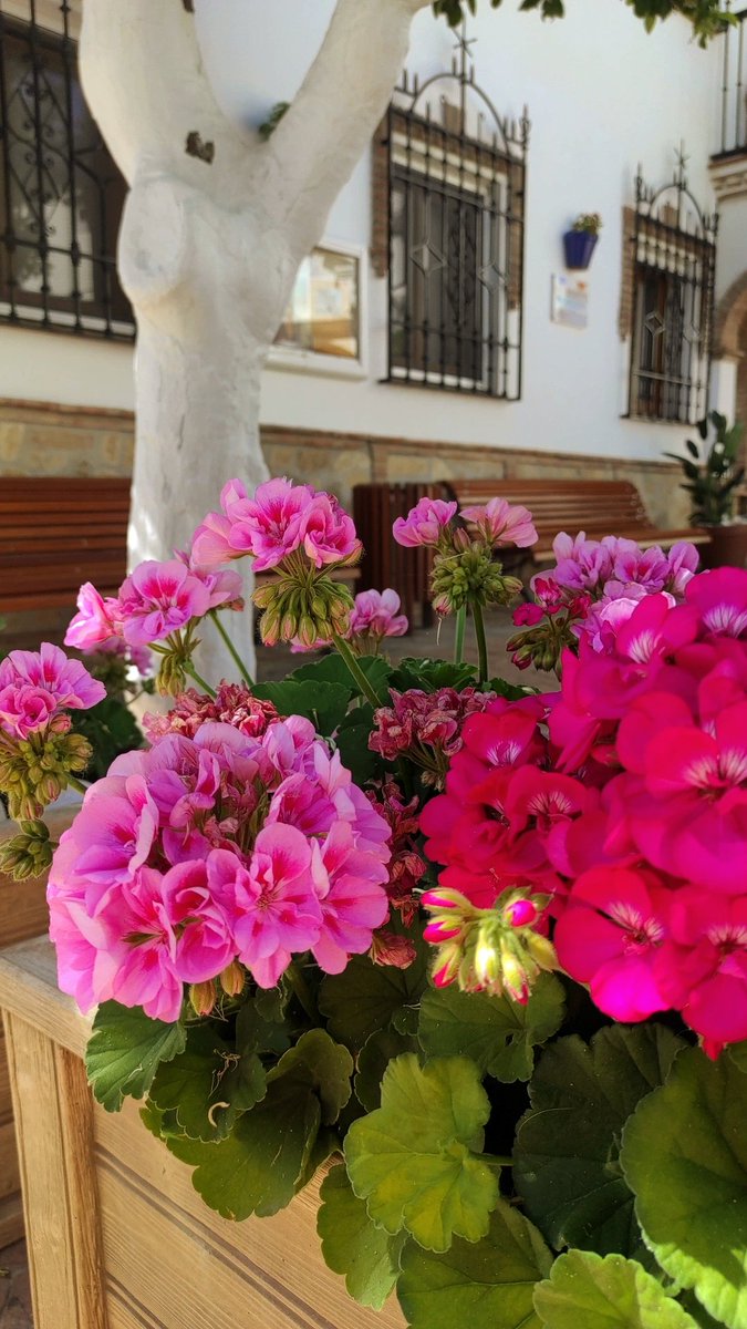 ℝ 🩷 tweet media