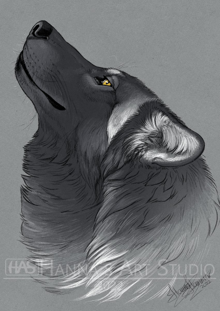 HannasArtStudio's tweet image. ✨Birthday Art Giveaway!✨

How to enter:
🌱Follow
🌱Like
🌱RT this post
🌱Comment with your Character reference (SFW)
Please include their species/breed information unless it&apos;s on the reference sheet.

✨Ends on the balloonday ✨
🎈April 13th🎈10PM CEST

#FurryArt #Sketch #DnD