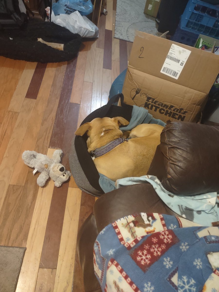 Melissa Alas LFG CLTCON🫎🫎 on Twitter "Y'all, I just can't with this