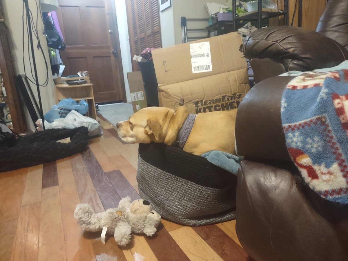 Melissa Alas LFG CLTCON🫎🫎 on Twitter "Y'all, I just can't with this