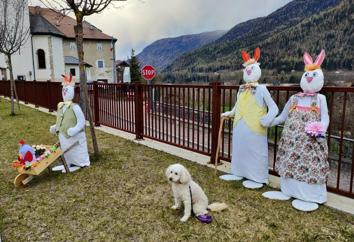 Buona Pasqua a tutti 🐰🐣 !!
#BuonaPasqua