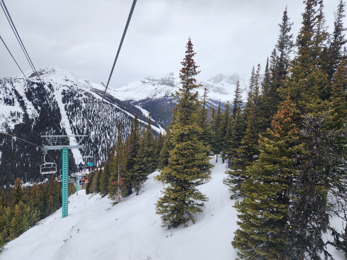 Crack of 1:15 club. Pushed off for Lake Louise after signing off this morning and bagging a few hours on the slopes.