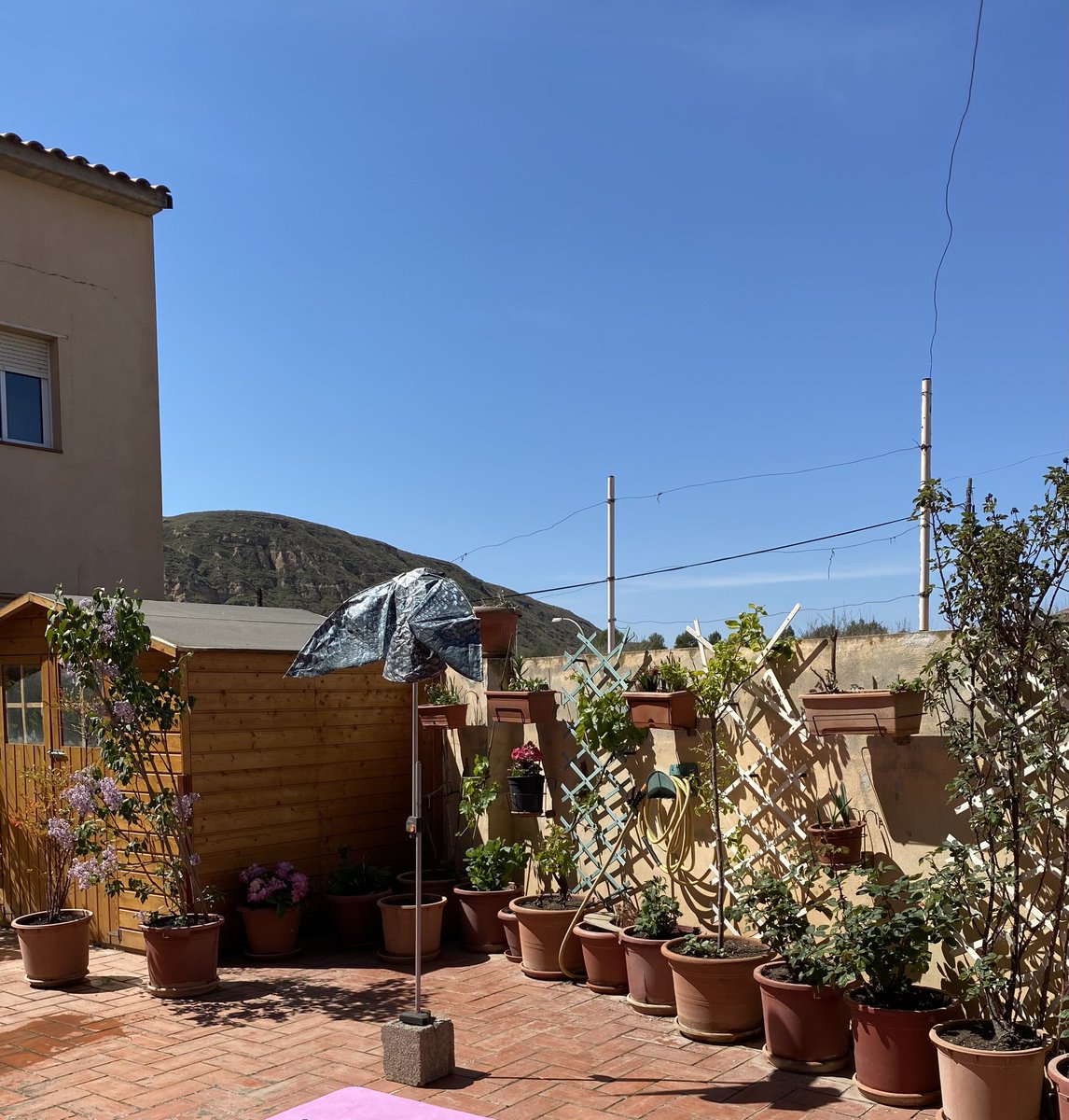 MariaLabroC's tweet photo. No te n’adones i un dia qualsevol el teu avi ha posat un mussol de plàstic per espantar ocells a la terrassa, un petó per ell https://t.co/hOq6Zzbg2e