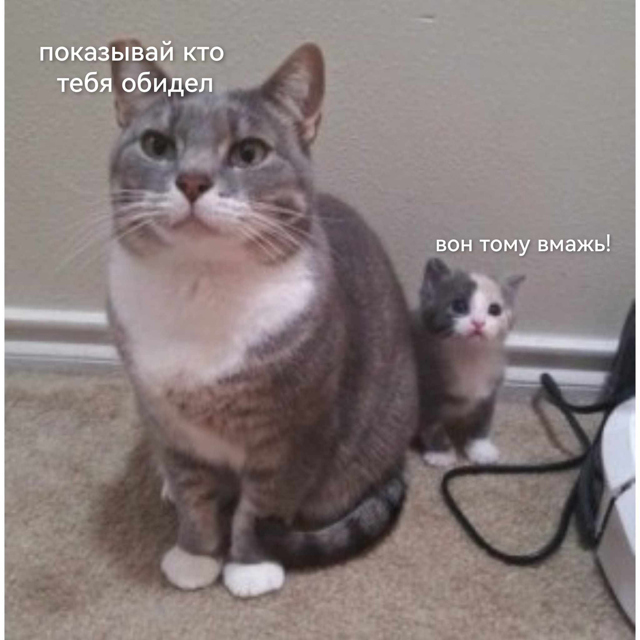 Никита Мем