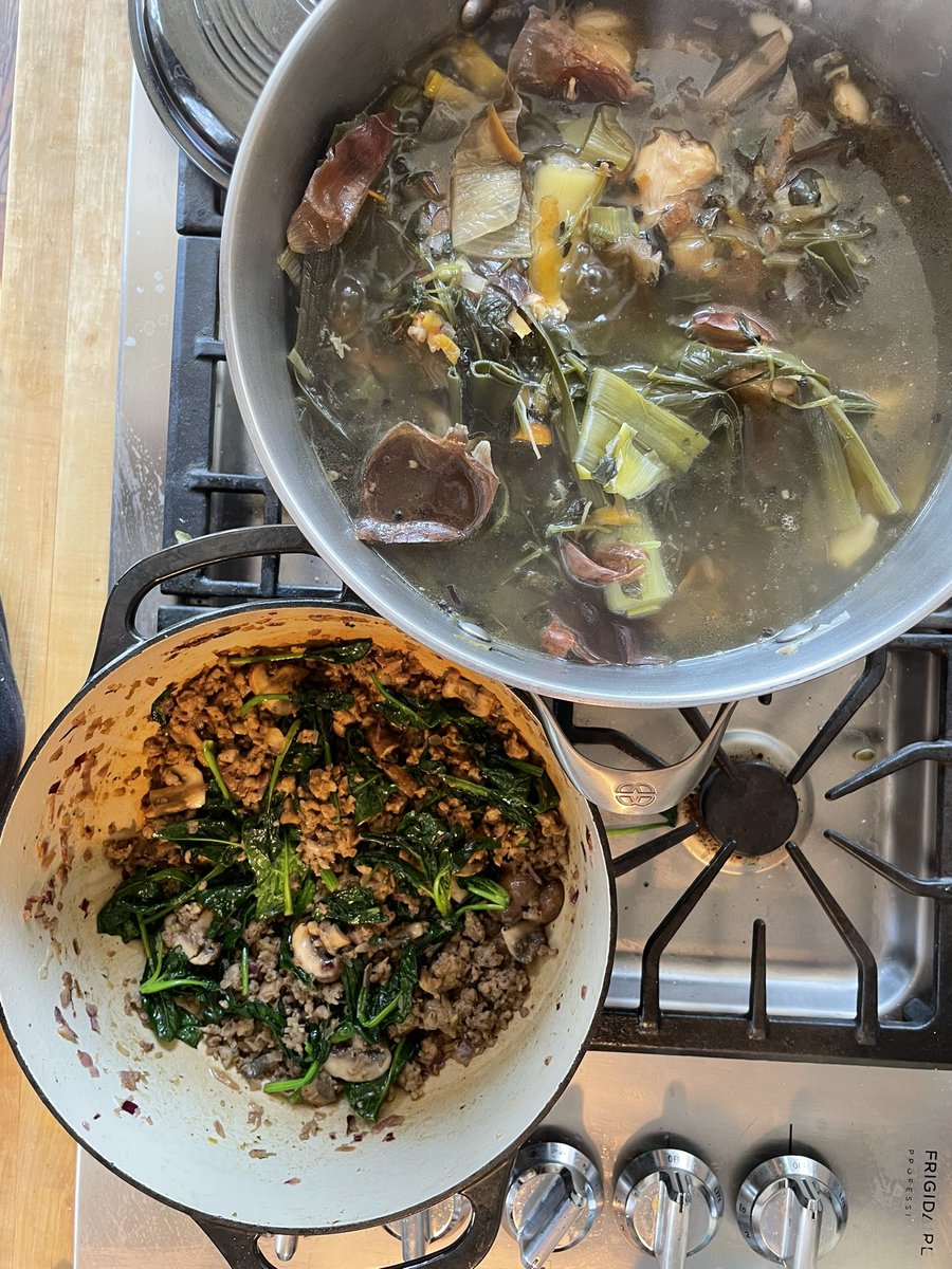 Feeling very domesticated. Chix stock simmering; breakfast casserole in progress. 

30yo Amy is very sad she’s not day drinking on this perfect Spring Saturday. 

Next week Amy will be very happy to discover meals are covered.
