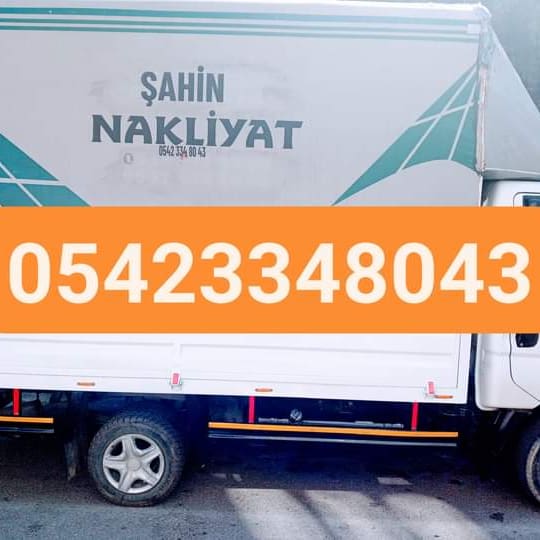 Şahin Şabanfakı (@sahinsabanfak) on Twitter photo 