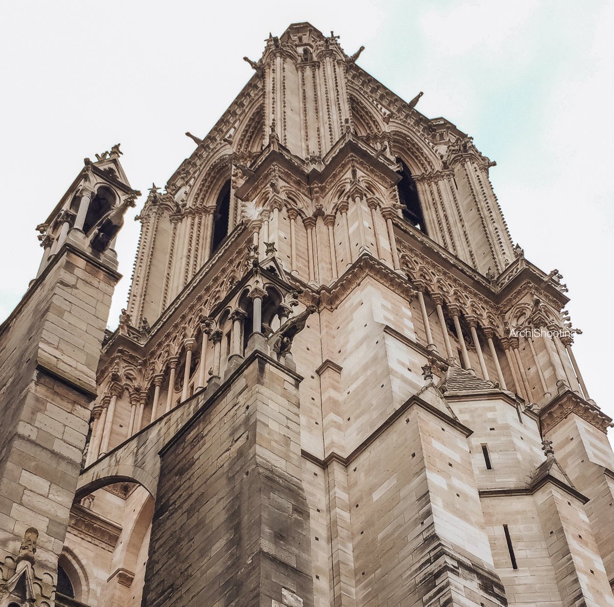 archishooting's tweet photo. Notre Dame Cathedral, Paris 🇫🇷

Construction: 1163 - 1345

Architects: Jean de Chelles, Pierre de Montreuil, Pierre de Chelles, Jean Ravy y Raymond Du Temple.

📸: @checks1 x @archishooting

#archishooting
#paris #parisfrance #parisarchitecture
#parislover #parismonamour https://t.co/d1lGpASheB