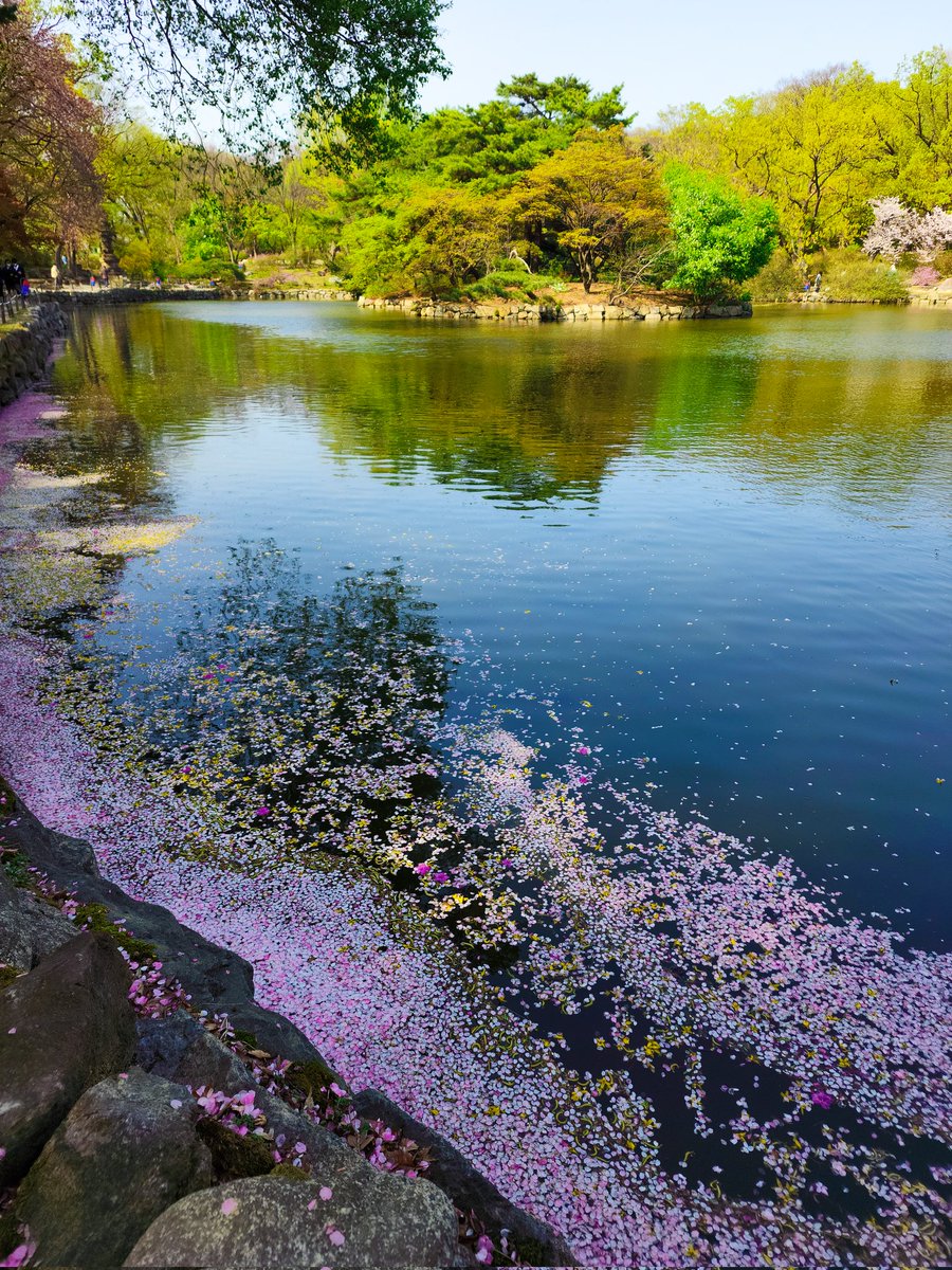 sky__wsp's tweet photo. 📍Changgyeonggung / Sungkyunkwan 

#changgyeonggung #창경궁 #Sungkyunkwan #성균관 #Korea #photography #art #nature https://t.co/8ZEzgmRUCC