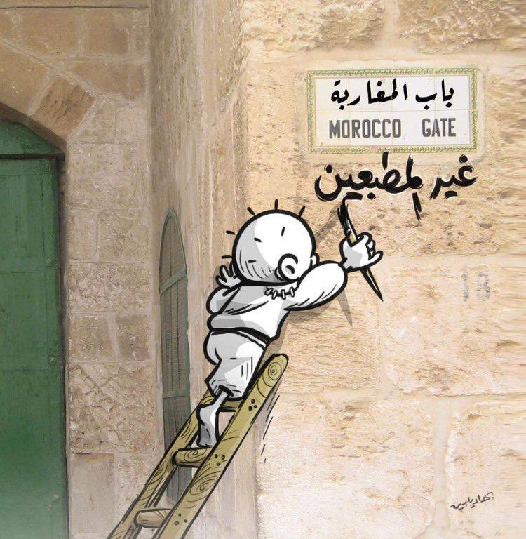 WassimMajd's tweet photo. @The__Mustached https://t.co/pyuKbXhp9a