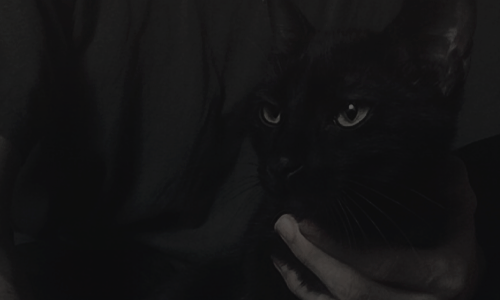 ㅤ𝐴𝑛𝑑 𝐼'𝑣𝑒 𝑏𝑒𝑒𝑛 𝑡𝘩𝑒 𝑏𝑎𝑑 𝑔𝑢𝑦 𝑓𝑜𝑟 𝑠𝑜 𝑙𝑜𝑛𝑔, 𝐼'𝑚 𝑔𝑟𝑜𝑤𝑖𝑛𝑔 𝑡𝑖𝑟𝑒𝑑.