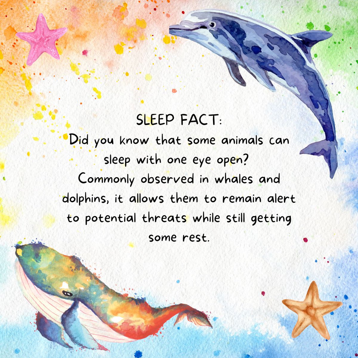 REMelations: Comedy Dream Interpretation Podcast (@remelations) on Twitter photo 