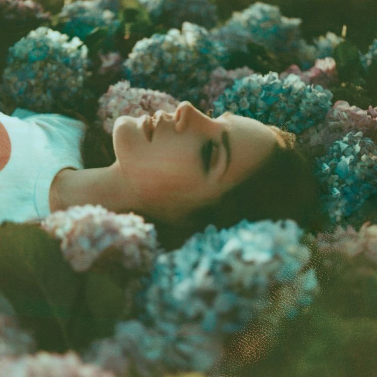 delreychart's tweet photo. “Sad Girl” (137.3M) has now surpassed “Shades Of Cool” (137.2M) becoming the 5th most streamed song of “Ultraviolence” on Spotify. https://t.co/5sPMYhAqWl