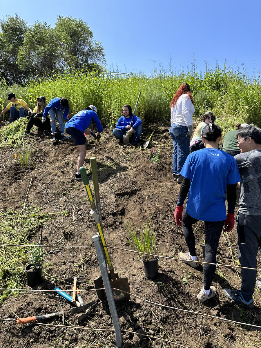 MahradMoh's tweet photo. Helping California State Parks to save the planet! Glad to be part of team United #ecoskies #savetheplanet #Plantation 
@robloxUSFS @united @mcgrath_jonna @Oscar7GP https://t.co/dx74KeLhvo