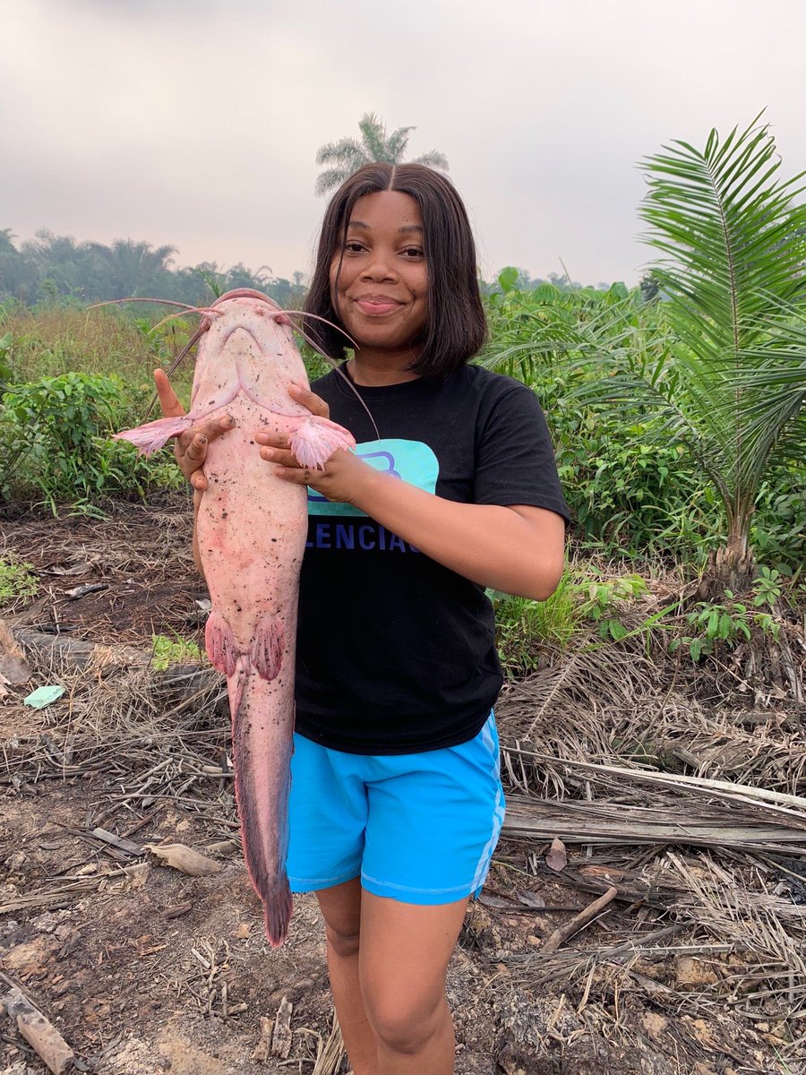 Amanda Pat on Twitter "Goodnews 💃💃 We can now supply fresh catfish to